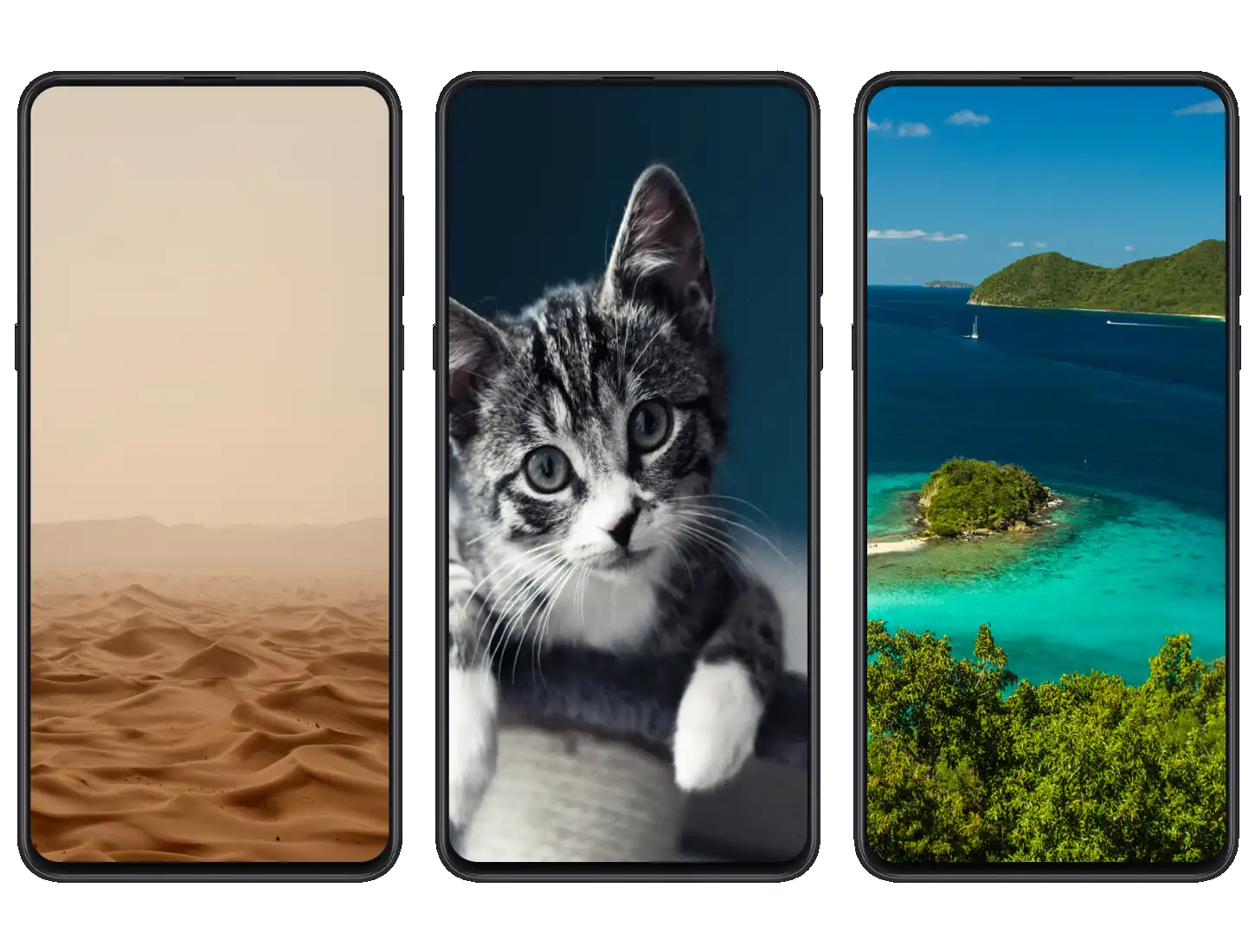 Xiaomi Community